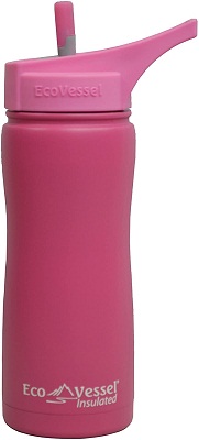 Eco Vessel Insulated Stainless Steel Water Bottle