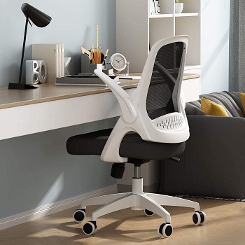 Hbada Office Task Desk Chair with Flip-up Arms and Adjustable Height