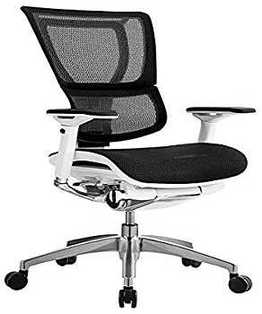 iOOEurotech Ergonomic Back Support Office Chairs