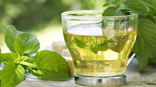 Green tea for Weight Loss and Bloating